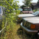 Illustration for article titled A Michigan Town Is Forcing This Man To Sell 20 Old Cars Off His Property Every Month